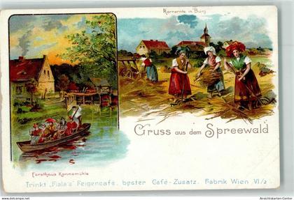 13914690 - Burg , Spreewald