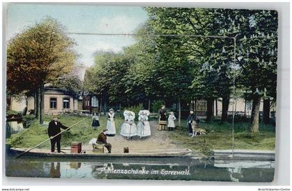 51661070 - Burg , Spreewald