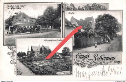 Litho AK Schermen Gasthof zum Stern Gärtnerei a Detershagen Möser Gerwisch Möckern Rogätz Wolmirstedt Burg Magdeburg