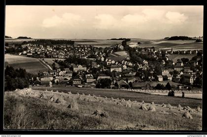 AK Burkhardtsdorf /Erzgeb., Teilansicht mit Heugarben