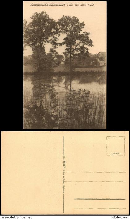 Ansichtskarte Schmannewitz-Dahlen Am alten Teich 1920