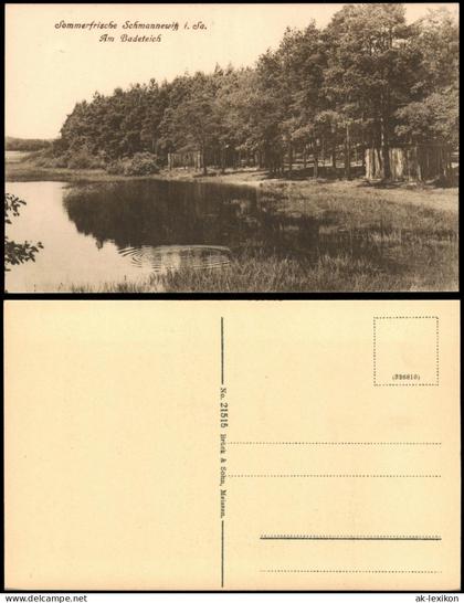 Ansichtskarte Schmannewitz-Dahlen Am Badeteich 1920