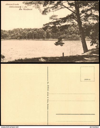 Ansichtskarte Schmannewitz-Dahlen Am Waldteich Sommerfrische 1920