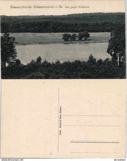 Ansichtskarte Schmannewitz-Dahlen Der große Waldteich 1916
