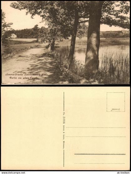 Ansichtskarte Schmannewitz-Dahlen Partie am alten Teich 1917
