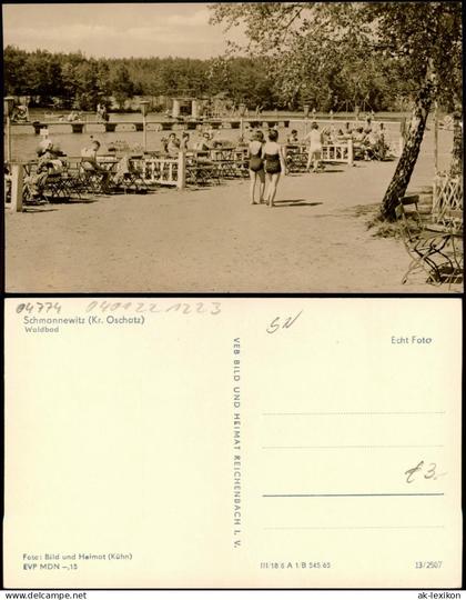 Ansichtskarte Schmannewitz-Dahlen Waldbad 1965