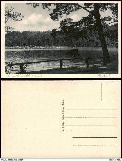 Ansichtskarte Schmannewitz-Dahlen Waldteich Badestrand 1928