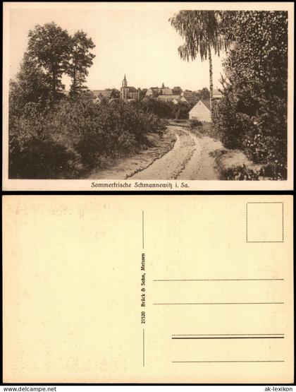 Ansichtskarte Schmannewitz-Dahlen Weg zur Stadt 1920