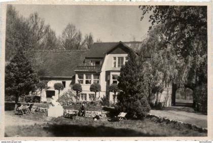 Dessau, Buchholzmühle