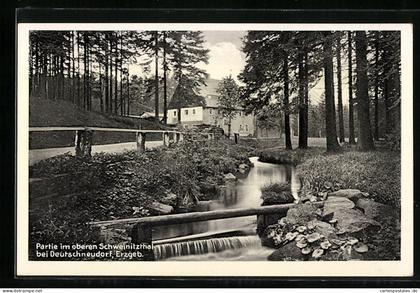 AK Deutschneudorf /Erzgeb., Partie im oberen Schweinitzthal