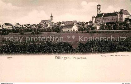 Dillingen Donau Panorama
