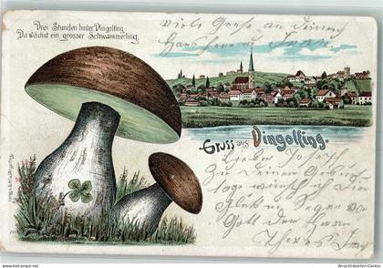 13434185 - Dingolfing