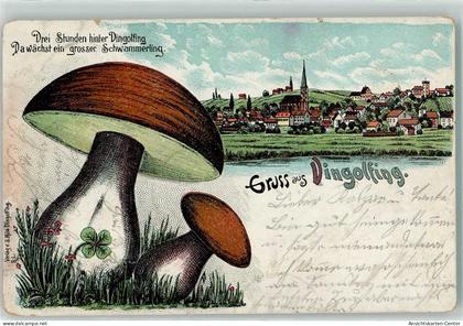 13439459 - Dingolfing