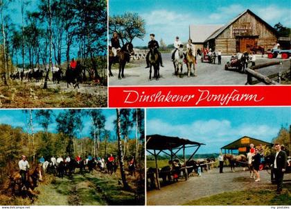 DINSLAKEN Ponyfarm Pferdeverleih Reiten Ponys Wald Bergerstrasse Schwarze-Heide