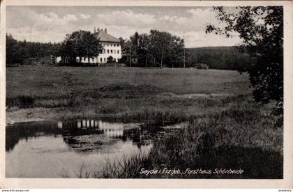 H9987 - Sayda Dorfchemnitz Forsthaus Schönheide - Verlag Kallmer