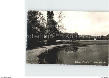 Duelmen Forsthaus am Park Teich