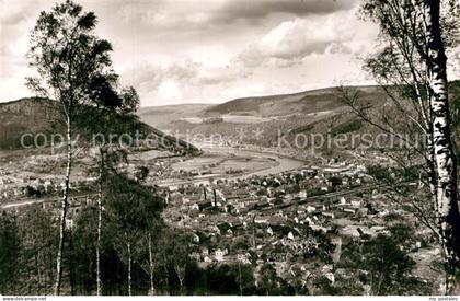 Eberbach Neckar Panorama
