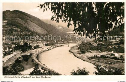 Eberbach Neckar Panorama