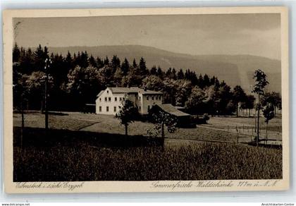 50887487 - Eibenstock