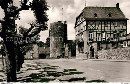 Eltville Rhein Rheinpromenade