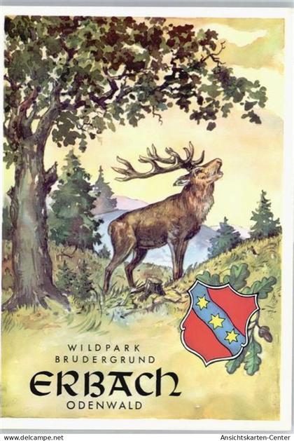 50593162 - Erbach , Odenw