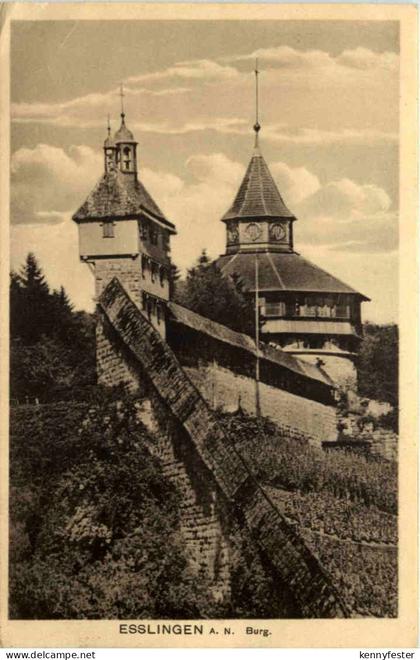 Esslingen, Burg