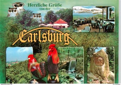Falkenberg Mark Brandenburg Carlsburg Bergrestaurant Fontanedenkmal Wasserfall C