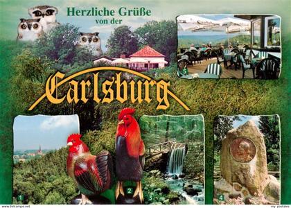 Falkenberg Mark Brandenburg Carlsburg Panoramarestaurant Eulen Haehne Wasserfall
