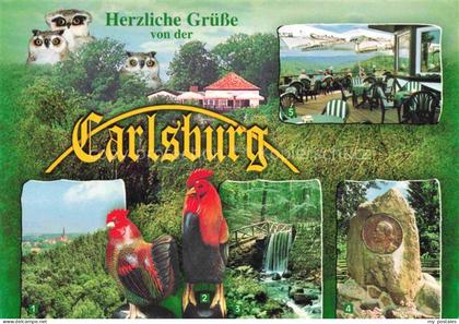 Falkenberg Mark Brandenburg Carlsburg Panoramarestaurant Fontane-Denkmal Freiter