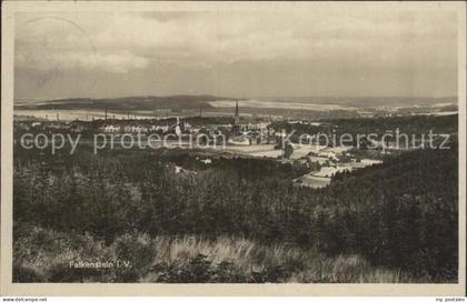 Falkenstein Vogtland Panorama