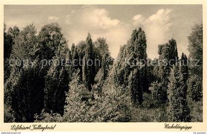 Fallingbostel Wacholdergruppe Lueneburger Heide