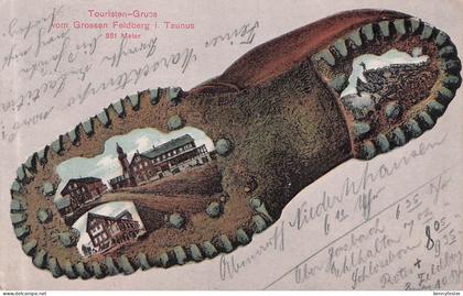 AK Feldberg i. T., Hotel Feldberg, Wanderschuh