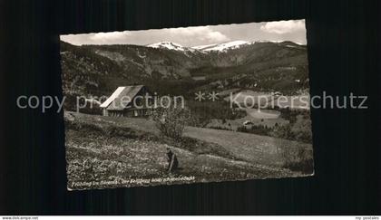 Baerental Feldberg mit Feldberg