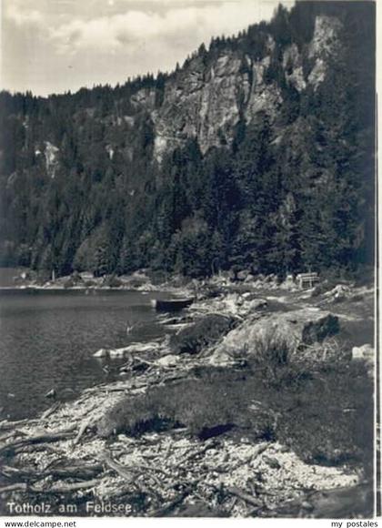 Feldberg Schwarzwald Feldberg Schwarzwald