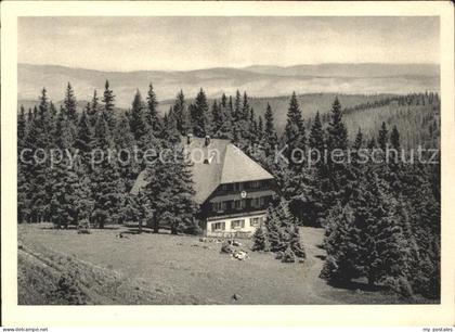 Feldberg Schwarzwald Naturfreundehaus Feldberg