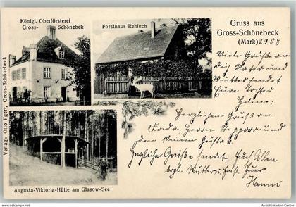 13546864 - Gross Schoenebeck Schorfheide