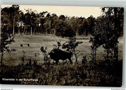 39795130 - Eichhorst b Eberswalde