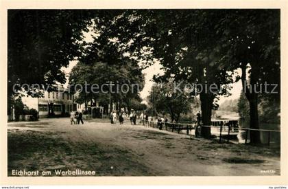 Eichhorst Eberswalde am Werbellinsee