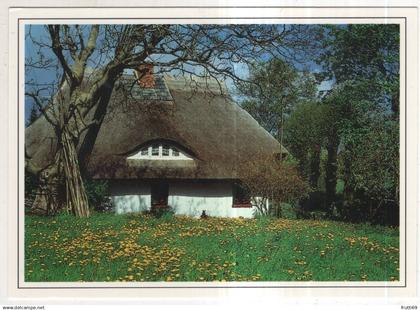 AK 244568 GERMANY - Fischland - Darß - Zingst