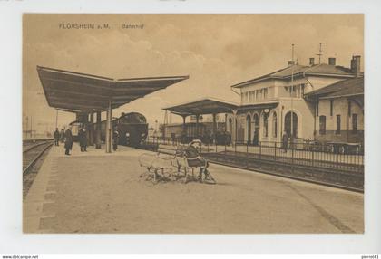 ALLEMAGNE - FLOERSHEIM - Bahnhof