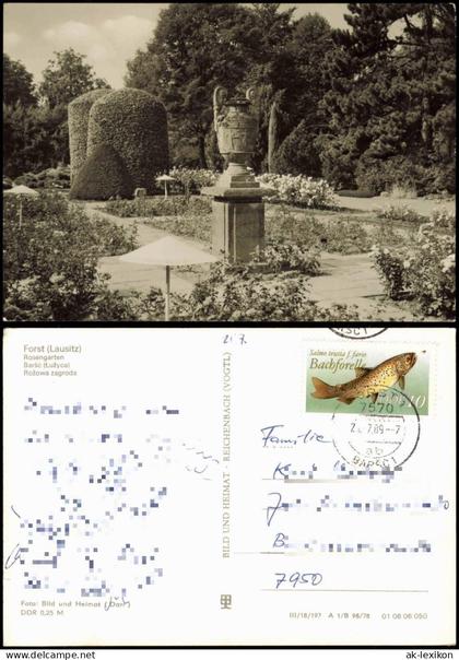 Ansichtskarte Forst (Lausitz) Baršć Rosengarten - Plastik 1978