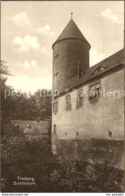 Freiberg Sachsen Schlossturm