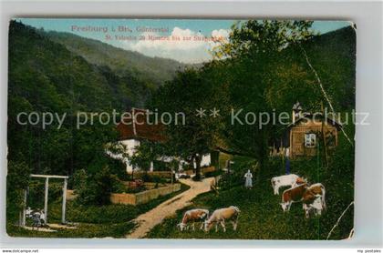 Guenterstal Freiburg St Valentin Hofgut