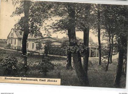 Freital Buchenwald