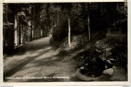 Freudenstadt, Teuchelweg