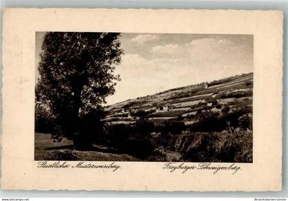 38140952 - Freyburg Unstrut