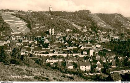 Freyburg Unstrut Panorama