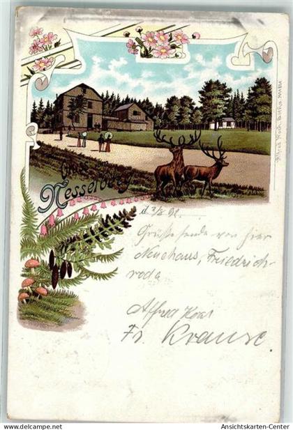 13508643 - Friedrichroda