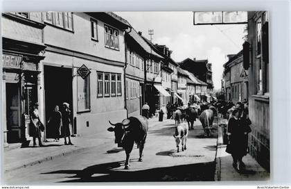 50415552 - Friedrichroda