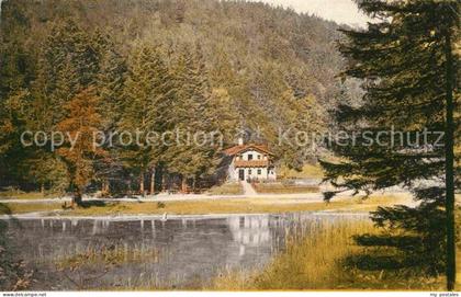 Fuessen Allgaeu Alatsee